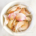 Lower Price Planting Garlic Farm Supply